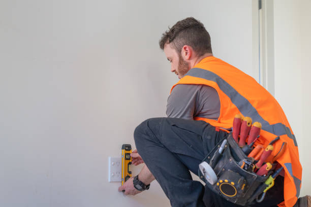 Best Ceiling Fan Installation Electrician  in Belle Isle, FL